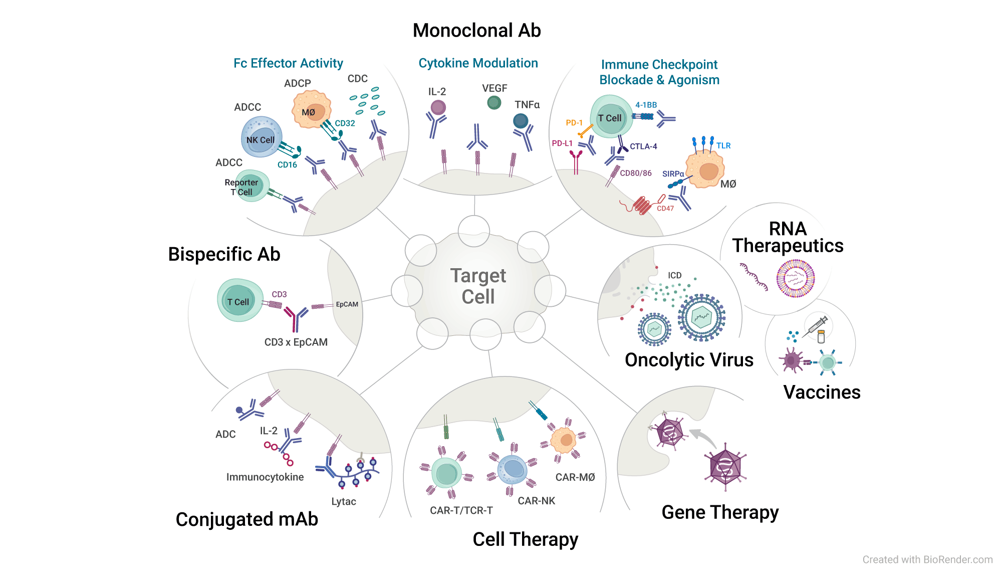 Functional Bioassays