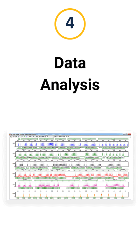 car-t-4-data