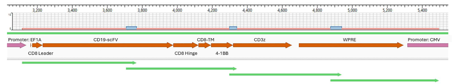 car-t-sequencing