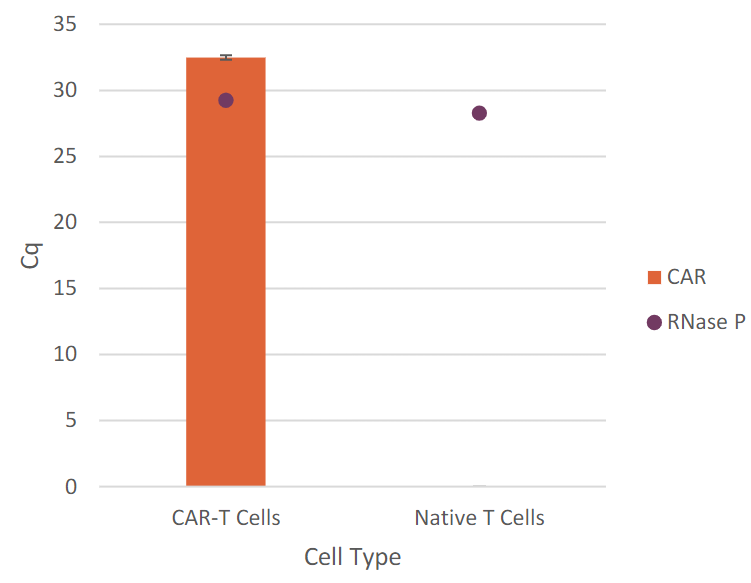 detection-of-car-dna-19251D