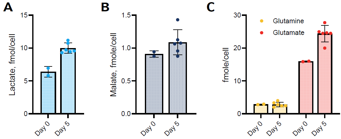 intracellular-metabolite-levels