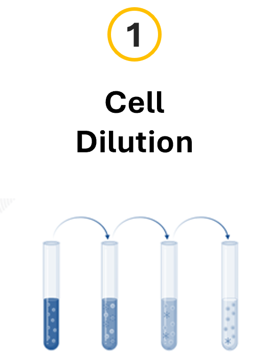 sequence-1-cell-dilution