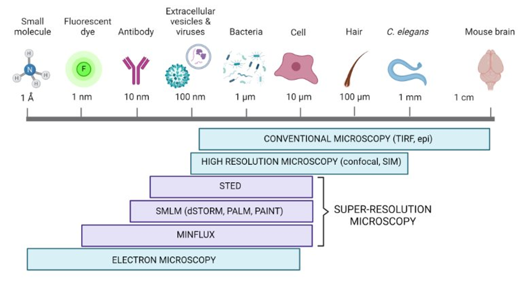 imaging-scale-microscopy