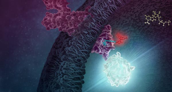 GPCR Research For Drug Discovery