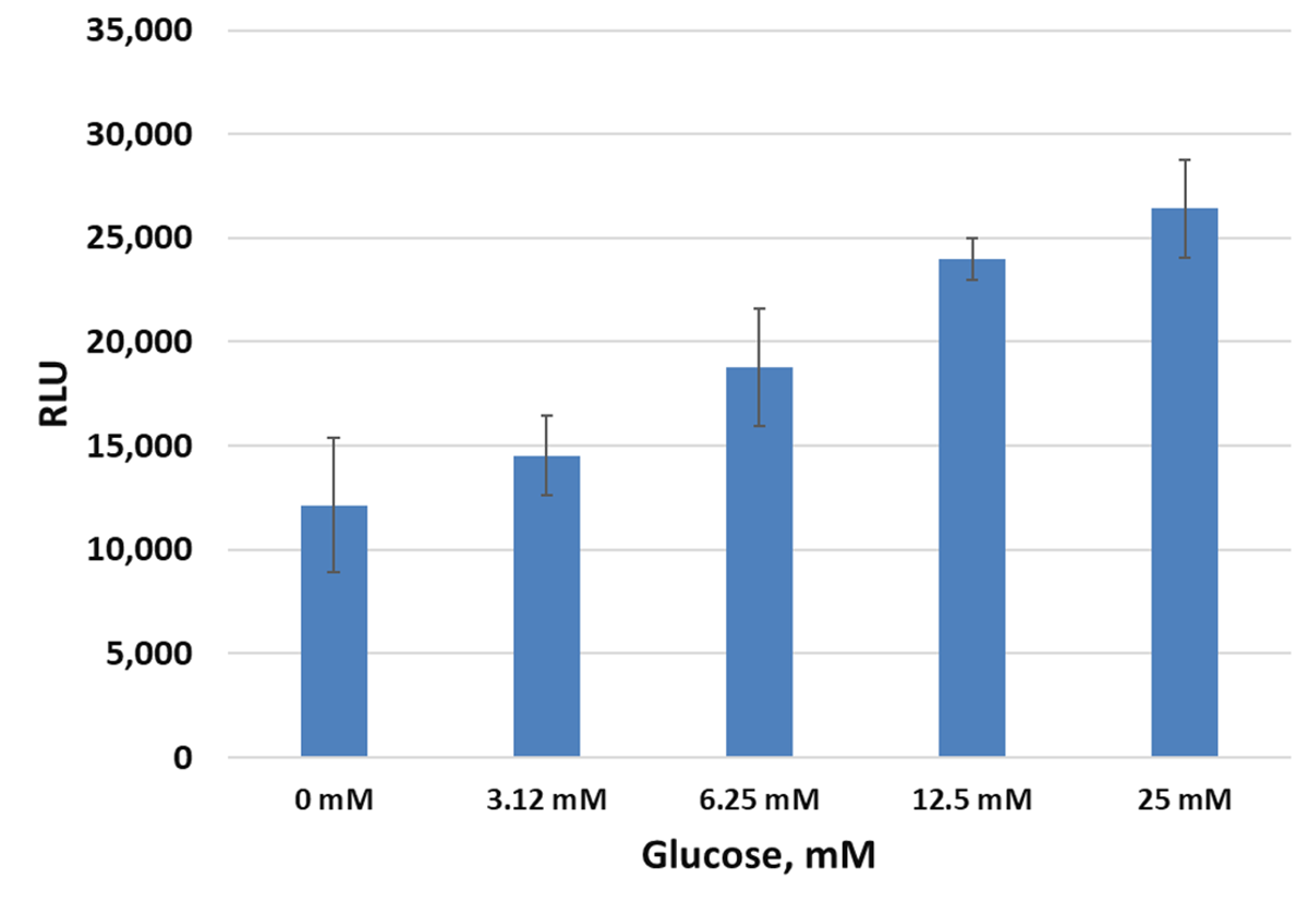 Bar graph showing increasing insulin release in INS-1 cells with increasing glucose concentration.