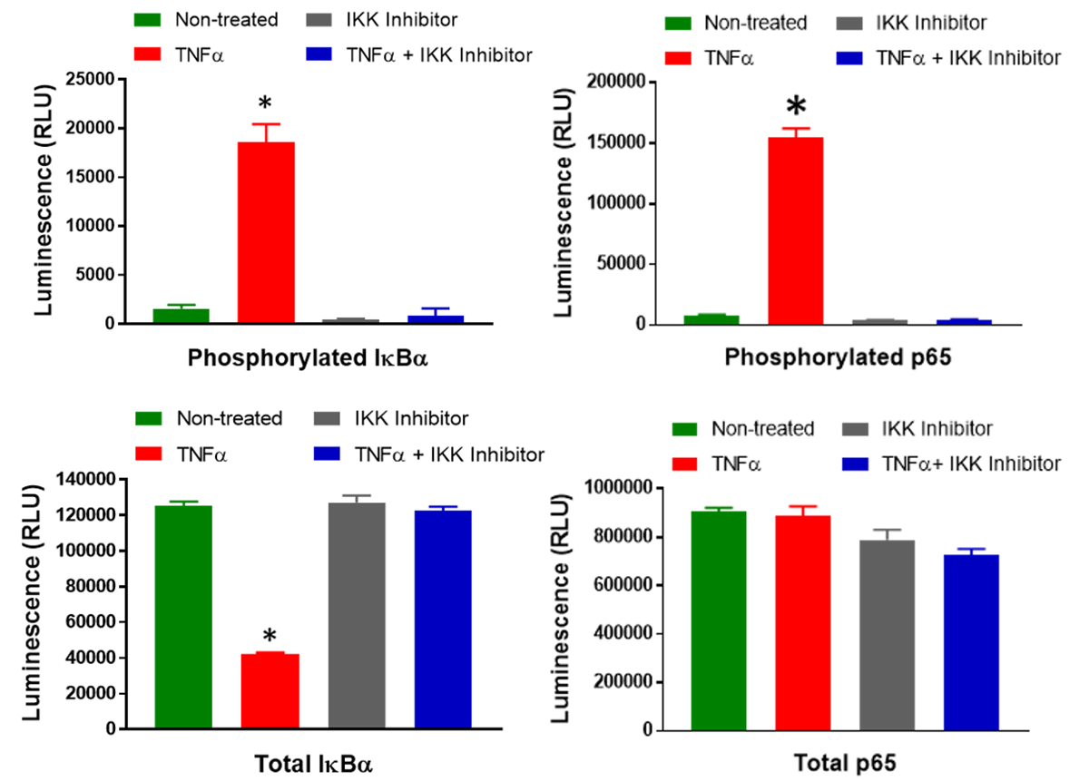 lumit-phospho-assay-ikb-p65