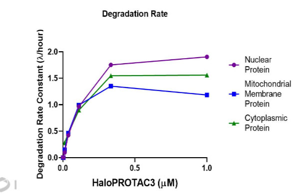 halopotac3-degradation-a-04