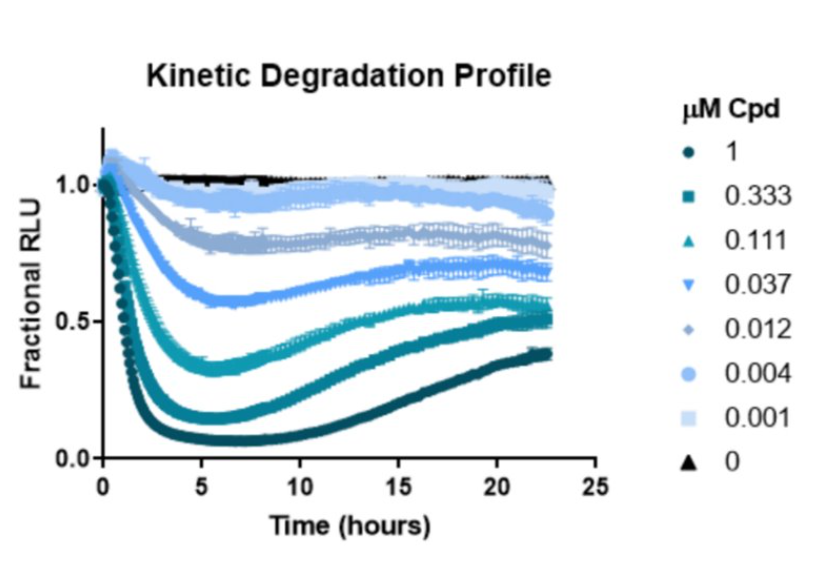 kinetic-degradation-profile
