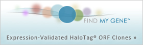 FindMyGene Expression-Validated HaloTag ORF Clones