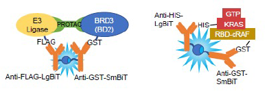 Lumit Biochemical PPI Assays 