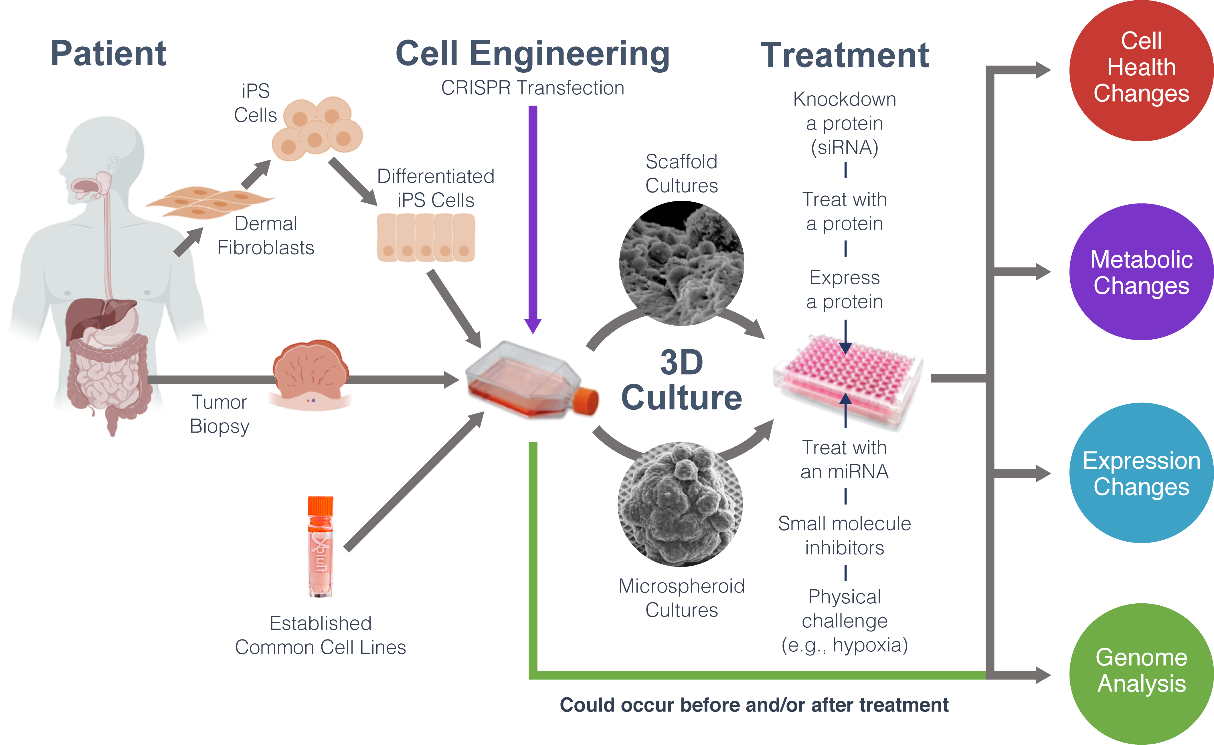 Introduction to 3D Cell Culture