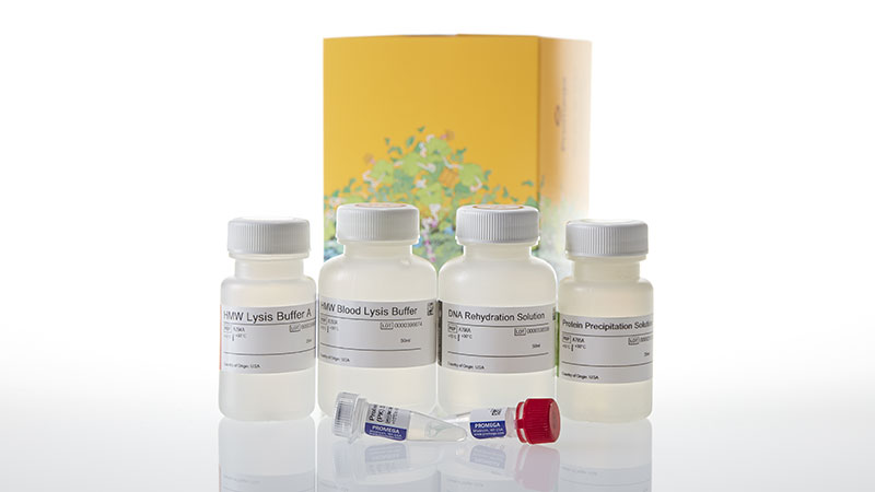 A2920_Wizard-HMW-DNA-Extraction-Kit_3