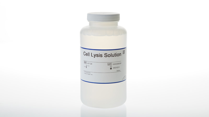 Cell Lysis Solution 500ml