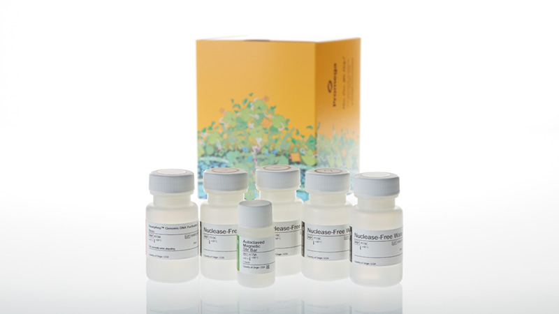 ReadyAmp Genomic DNA Purification Sys 100 reactions