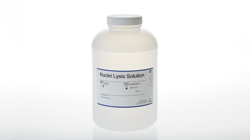 Nuclei Lysis Solution 1 liter