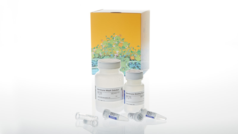 invitrogen gel purification kit