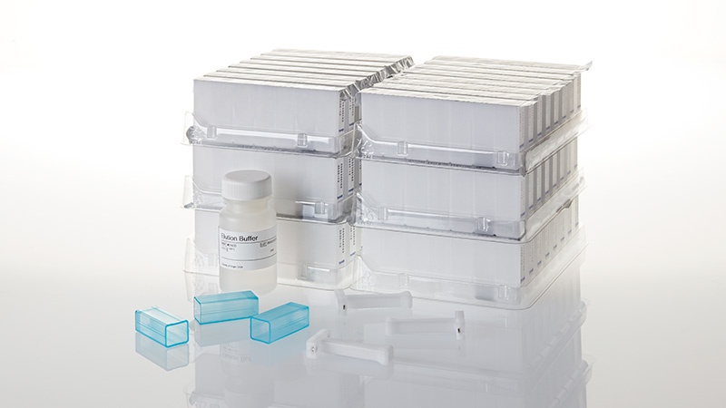 AS1010 Promega Maxwell 16 Blood DNA Purification Kit