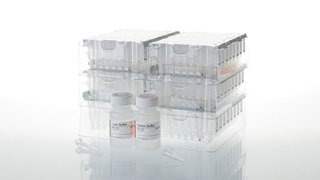 DNA IQ Casework Pro Kit for Maxwell 16 48 preps