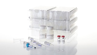 麦克斯韦RSC miRNA血浆和血清试剂盒48制备