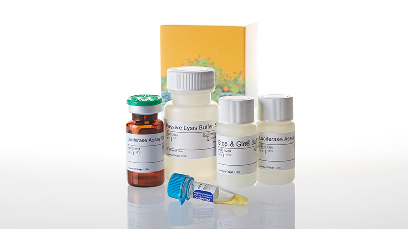 Dual-Luciferase® Reporter Assay System product image showing the contents of the E1910 kit