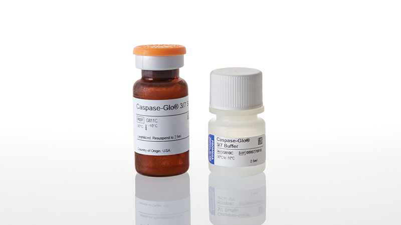 G8090_Caspase-Glo--3-3a7-Assay--2-5ml_3