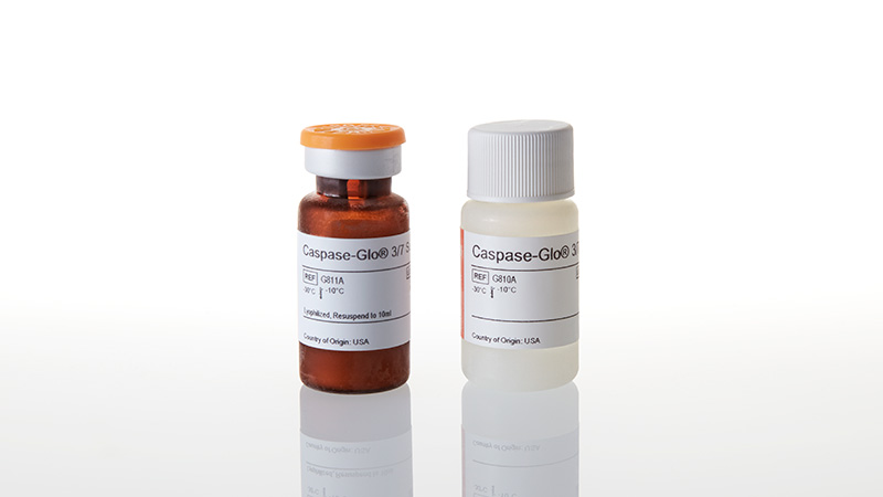 Caspase-Glo® 3/7 Assay System | Caspase 3 Activity Assay | Apoptosis ...