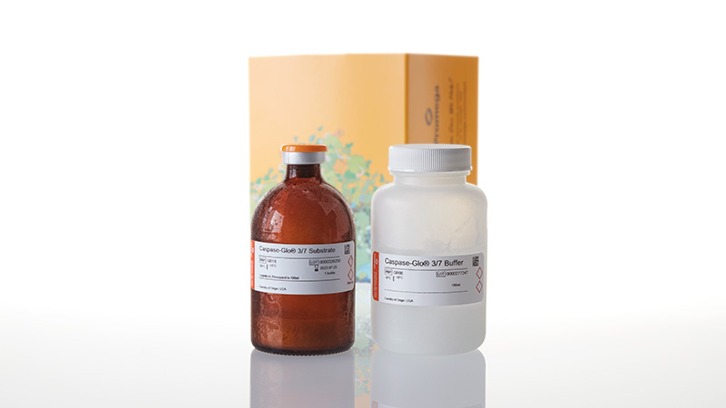 G8092_Caspase-Glo--3-3a7-Assay--100ml_3