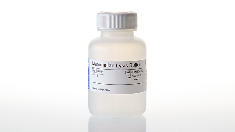 G9381_Mammalian-Lysis-Buffer--40ml_3