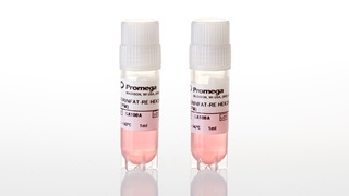 GA1082_VEGF-Bioassay--Propagation-Model_3