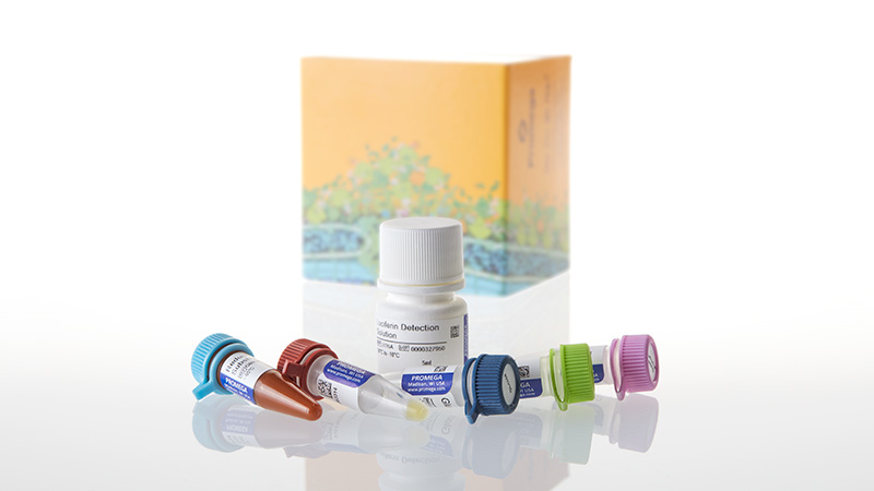 glucose assay kit