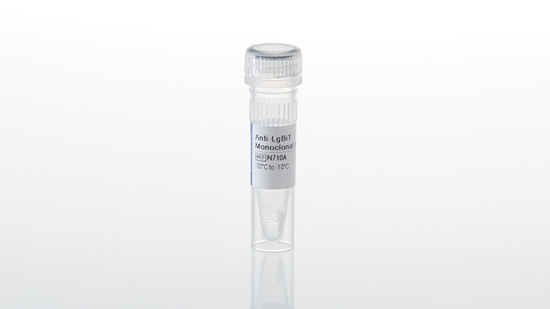N7100_Anti-LgBiT-Monoclonal-Antibody_3