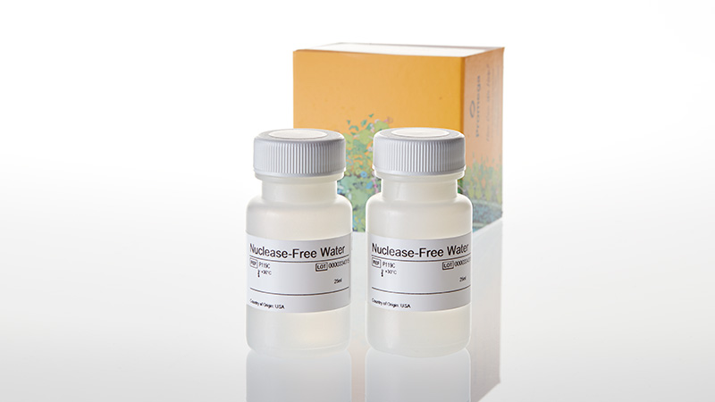 Nuclease-Free Water 50ml