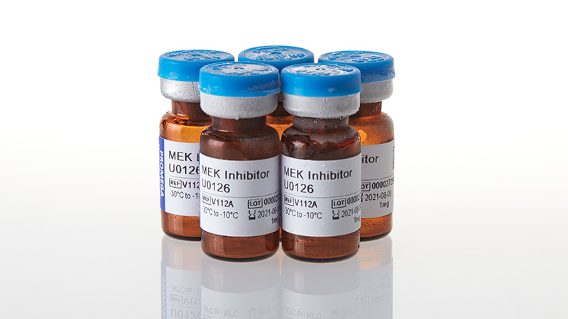 V1121_MEK-Inhibitor-U0126--5mg_3