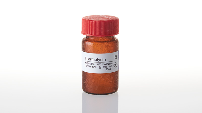 V4001_Thermolysin_3