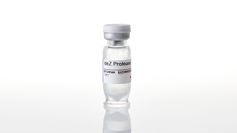 V8341_IdeZ-Protease--5000U_3