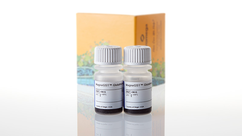 V8612_MagneGST--Glutathione-Particles--20ml_3