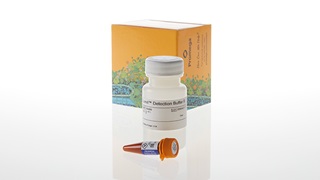 VB4060_Lumit--Immunoassay-Detection-Reagent-B_3