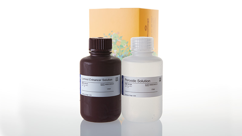 W1001_ECL-Western-Blotting-Substrate-250ml_3