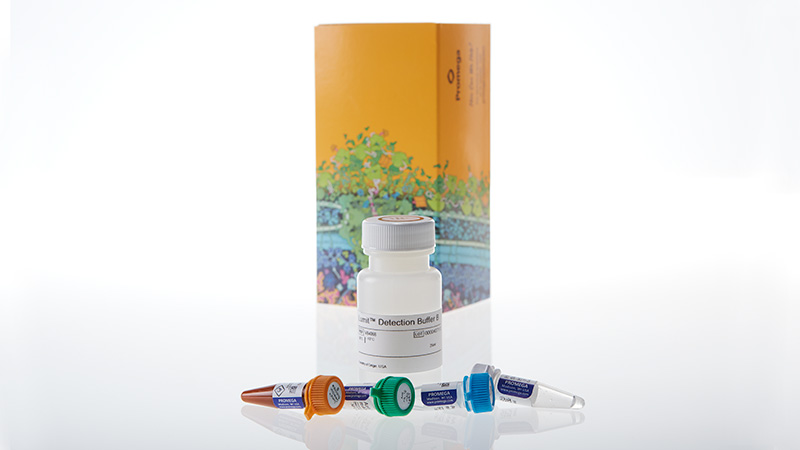 Lumit™ IL-10 (Human) Immunoassay product image showing the four microcentrifuge tubes and one medium bottle in the kit
