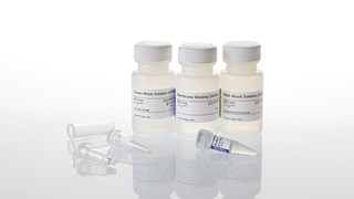 Z1072 Promega ReliaPrep™ RNA Cleanup/Concentration Kit