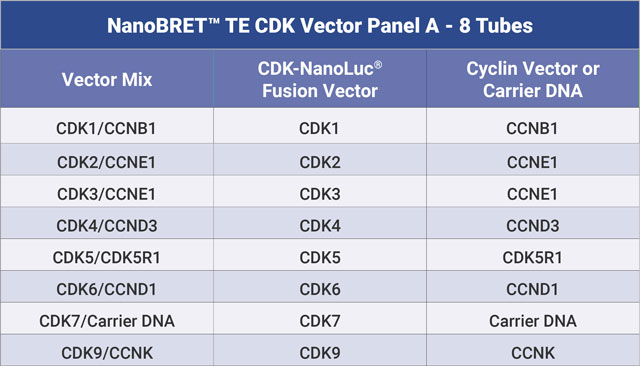 NanoBRET™ TE CDK Vector Panel A Table of Vector Mixes