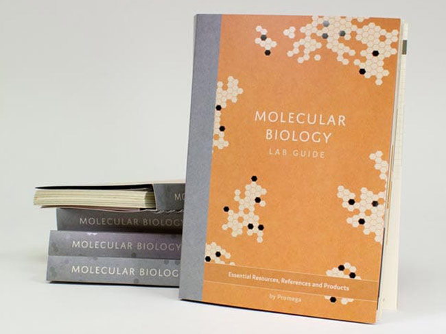 Molecular Biology Lab Guide