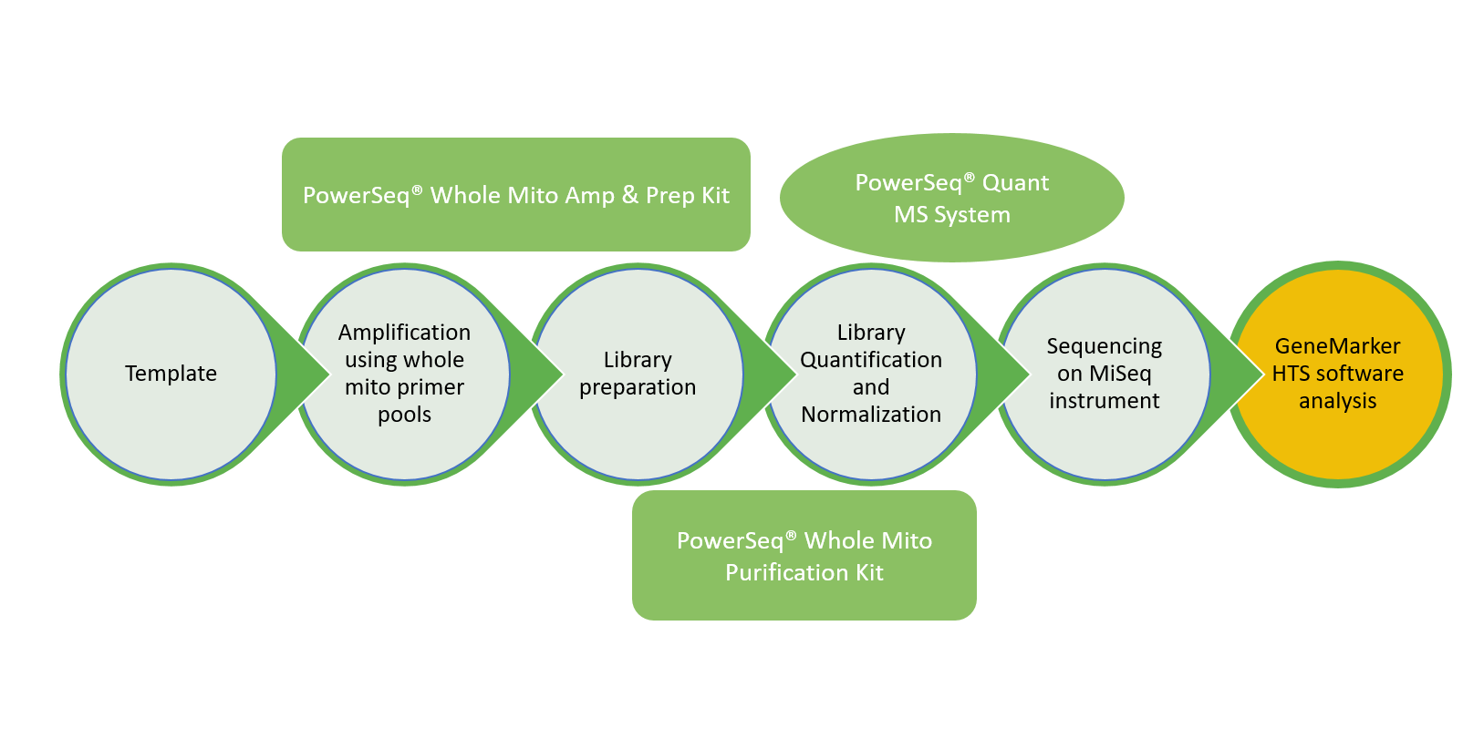 powerseq whole mito system workflow