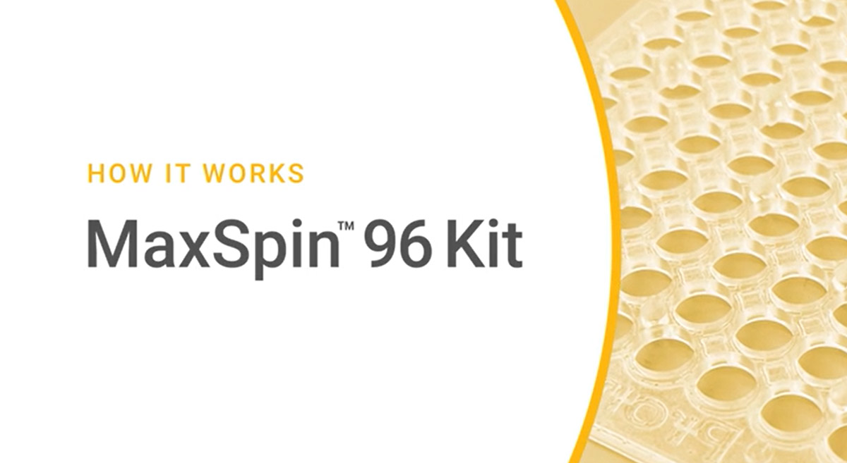 Maxspin 96 Kit Overview
