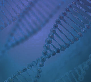 扩大液体处理程序上的DNA和RNA纯化