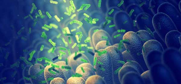 Webinar: Automated purification of nucleic acid from fecal microbiome samples