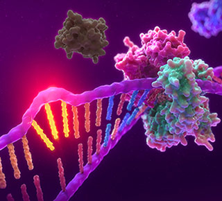 3D image of MSI showing unrepaired mismatched nucleotides