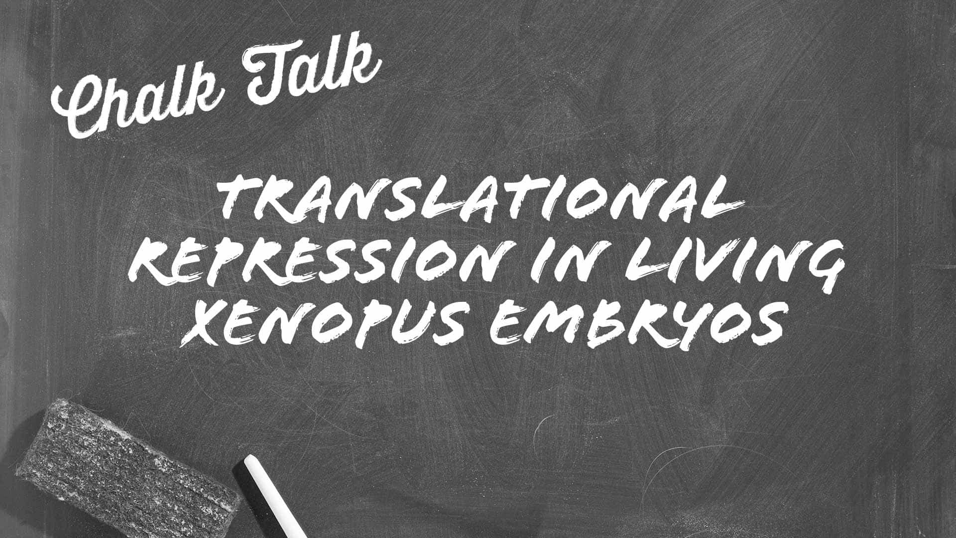 NanoBiT Chalk Talk Translational Repression in Xenopus Embryos