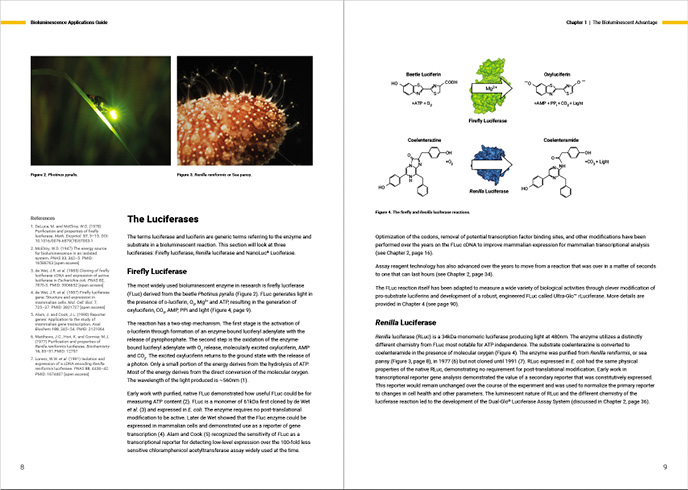 62667222-pages-8-9-bioluminescence-applications-guide-product-page