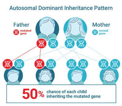 Illustration of autosomal dominant inheritance